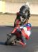 Nogaro_Angus_1aout09-03