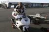 Paddock_19
