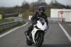 Poussin_24