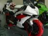R6 Pile