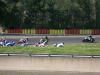 SBK NOGARO 2010 (73)