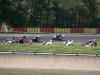 SBK NOGARO 2010 (75)