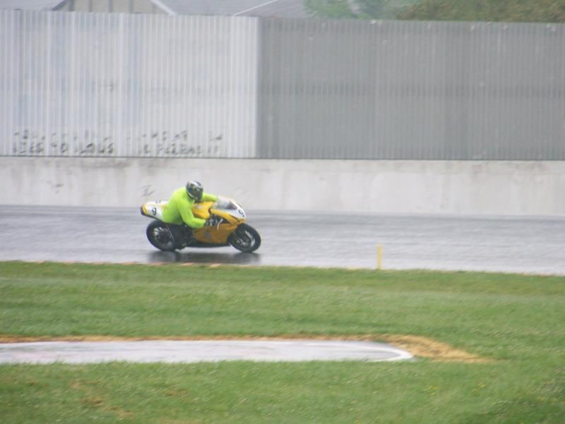 Le Lapin NOGARO 2010 (8)