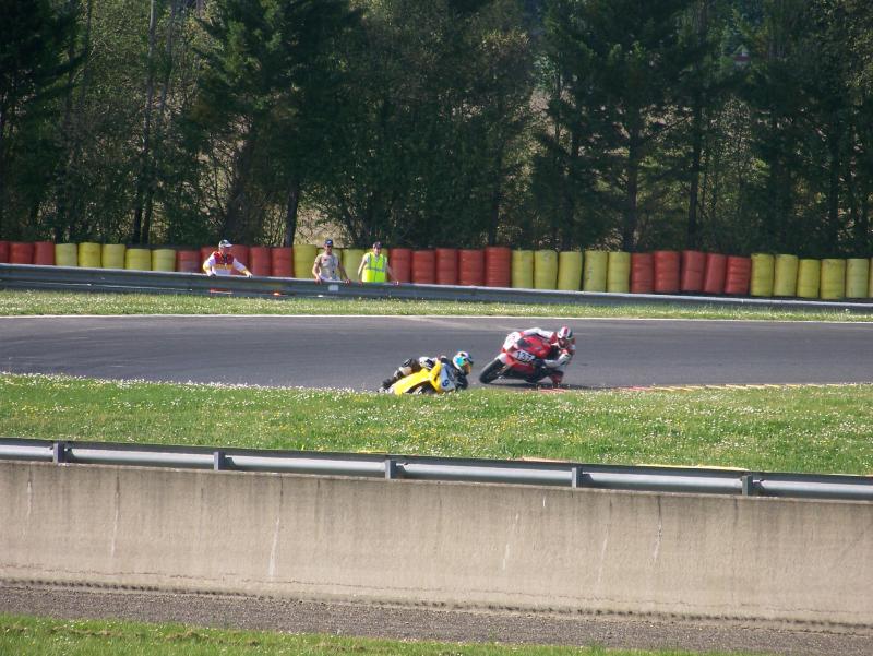 Le Lapin NOGARO 2010 (66)