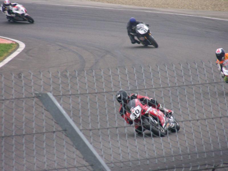 Rotweiler44 NOGARO 2010 (9)