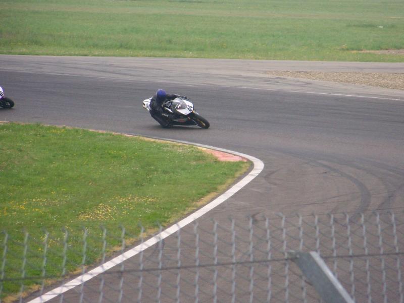 Rotweiler44 NOGARO 2010 (10)