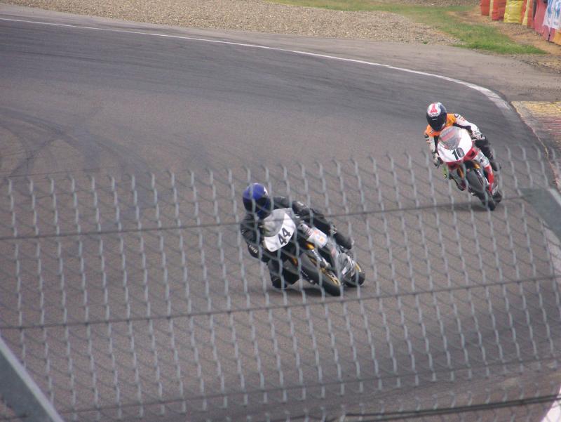 Rotweiler44 NOGARO 2010 (15)