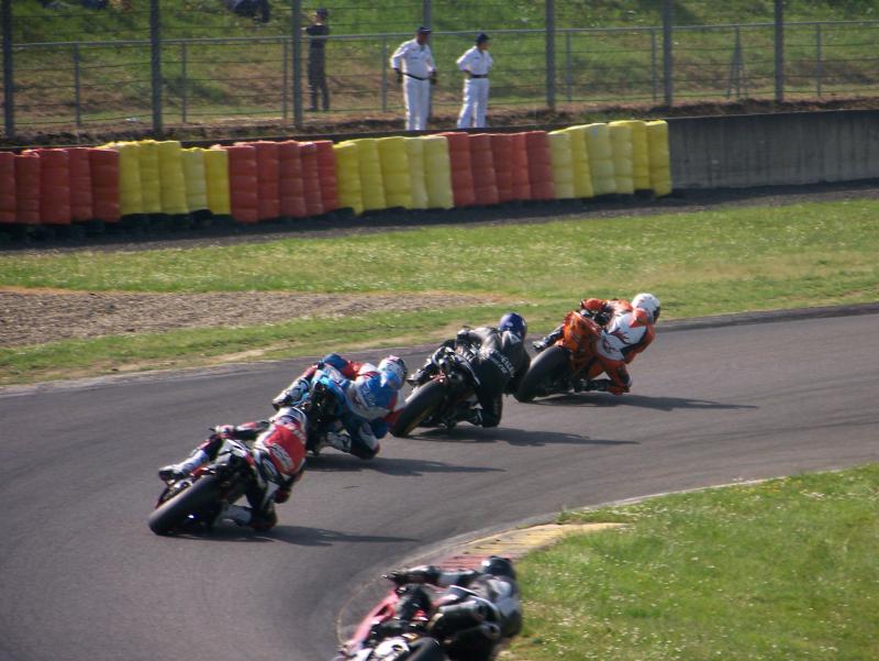 Rotweiler44 NOGARO 2010 (32)