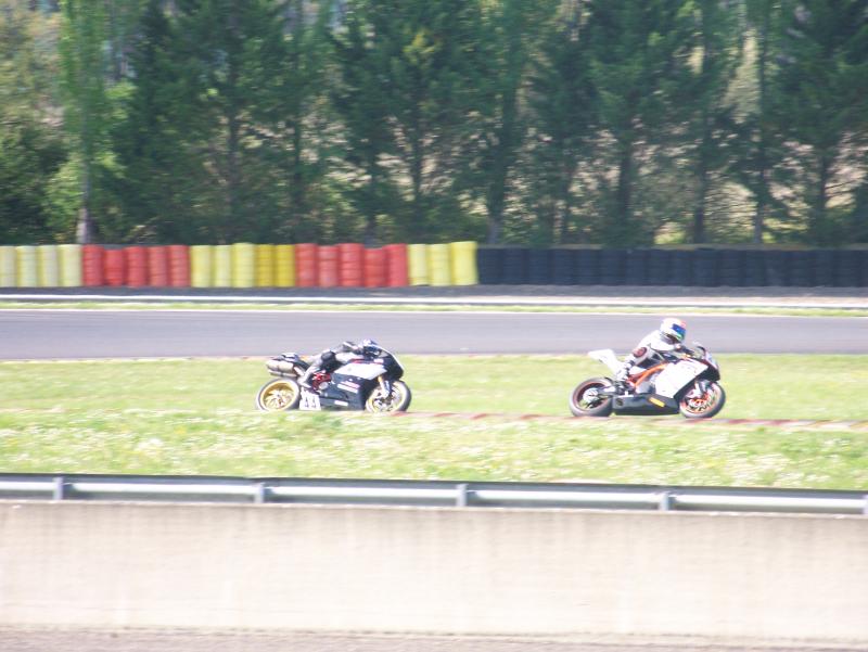 Rotweiler44 NOGARO 2010 (43)