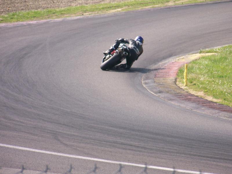 Rotweiler44 NOGARO 2010 (45)