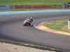 Fred Viale NOGARO 2010 (2)
