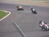 Le Lapin NOGARO 2010 (41)