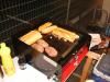 La plancha du jour des freres 3 Gras