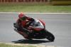 lolobuell2