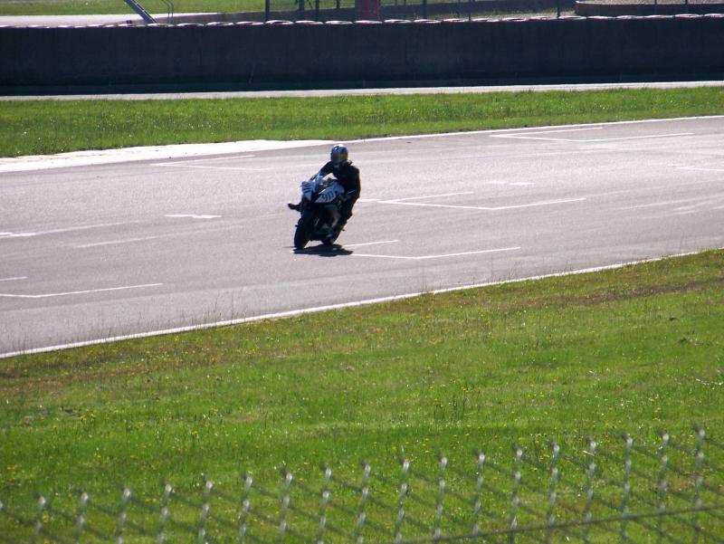 Le Poulet 09