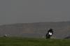Motorland_13