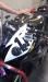 Poulet Bike
