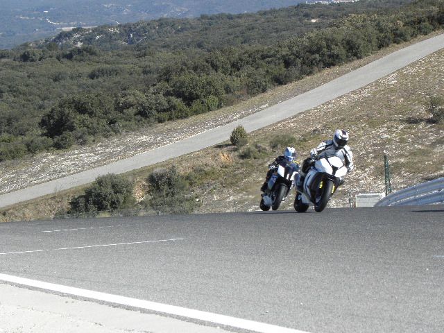toy et poulet ligne droite 1