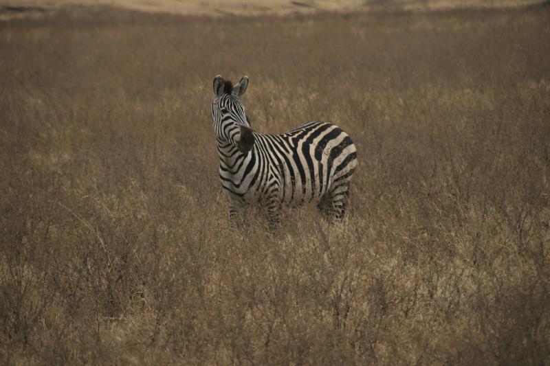 Tanzanie-4637