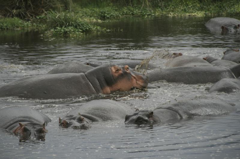 Tanzanie-4738