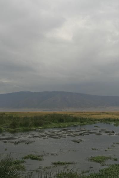 Tanzanie-4740