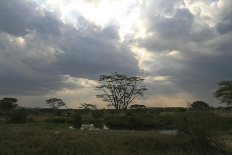Tanzanie-5073