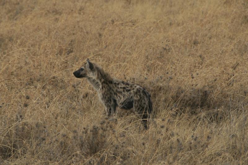 Tanzanie-5093
