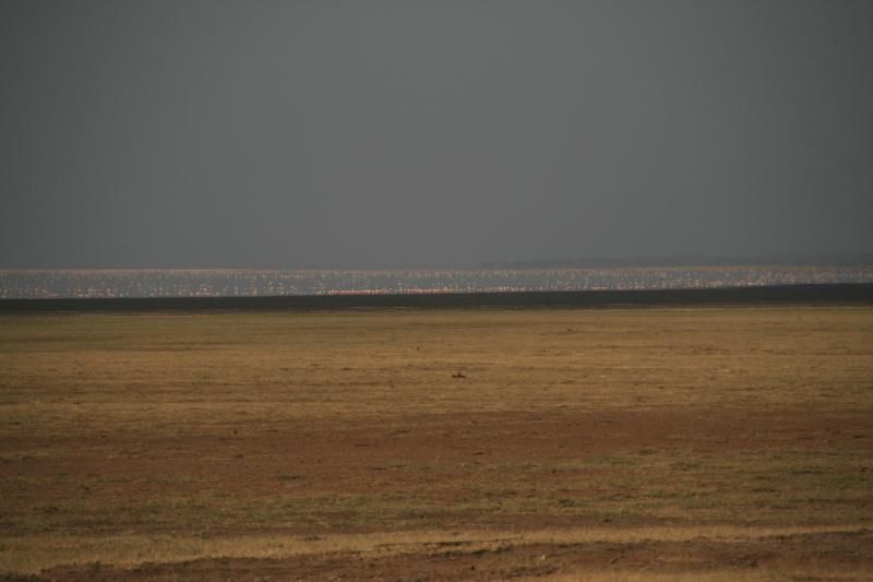 Tanzanie-5316