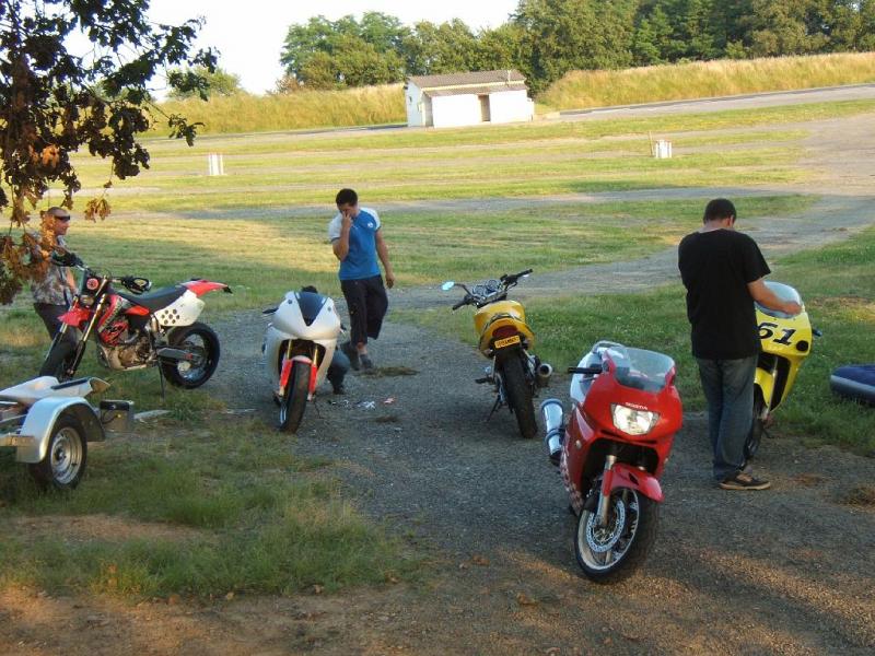 paddock-3