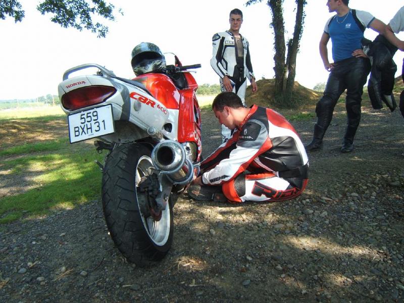 paddock-12