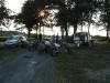 paddock-1