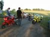 paddock-2