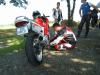 paddock-12