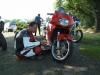 paddock-13
