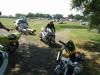 paddock-21