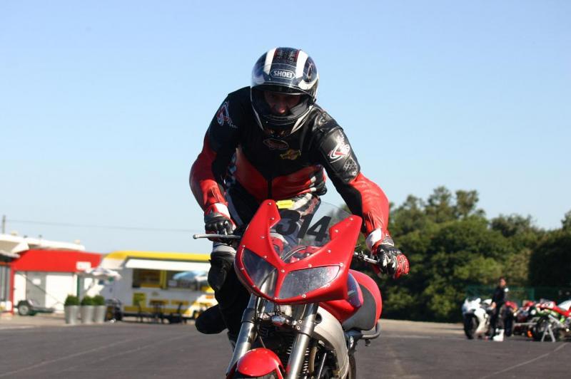 paddocks-10