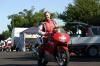 paddocks-41