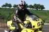paddocks-45