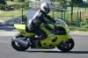 paddocks-46