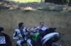 paddocks-53