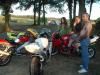paddocks-71