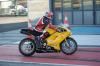 Olivier-6