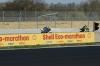 Romain-5