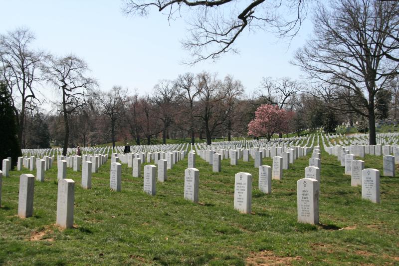 W_Arlington_01 - 5521