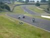 Mk2 Tompouce poussin 3