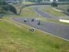 Mk2 Tompouce Poussin
