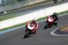 ducatman8737