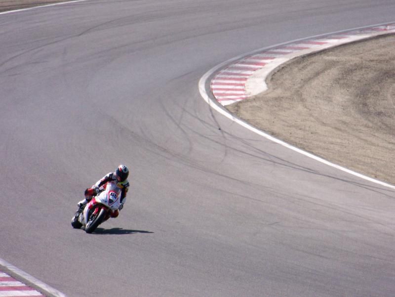 SSP QUALIFS (74)