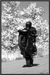 Avatar de l'utilisateur