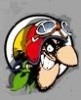 Avatar de l'utilisateur